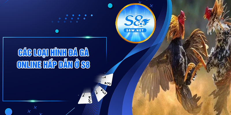 Các loại hình đá gà online hấp dẫn ở S8